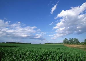 鹿児島市で家族葬等の小規模の葬儀には