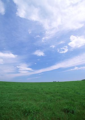 家族葬は鹿児島のNPO法人想い出に