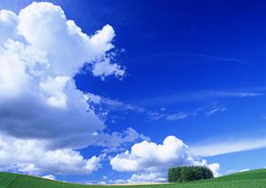 鹿児島にある低予算の家族葬の葬儀社