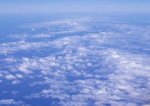 鹿児島で家族葬をお探しならここ